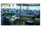 Fiem Industries: OEM-Grade Automotive Lights for All Vehicles