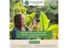 Explore the Wild: Best Peru Amazon Tours from Puerto Maldonado