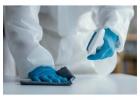 Best pest control services Mumbai with 100% Hygienic 