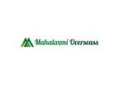 Biggest Banana Exporter Mahalaxmi Overseas Trusted Globally