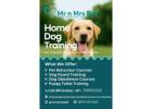 Dog Training in Hyderabad