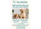 Dog Hostel in Hyderabad