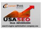 Top SEO Company in USA – Boost Your Online Rankings with Converthinksolution