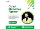  Advide Solutions - Top digital marketing company in jaipur