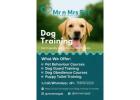 Dog Training in Mumbai