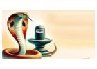 Symptoms of Kaal Sarp Dosh & Remedies by Pandit Vedanshu Guruji