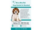 Dog Hostel in Mumbai