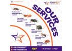 Best Ant Pest Control Services in Kurnool
