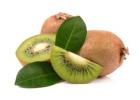 Kiwi Gold: Secrets to Successful Kiwi Fruit Cultivation