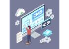 Invoidea is a Reliable Laravel Development Company in India for Scalable Web Apps