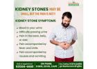 ayurvedic kidney treatment centers in Delhi NCR 