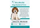 Dog Hostel in Pune