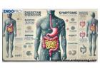 Recognizing Digestive Disorders Symptoms and Seek Fast Relief