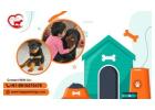 Home-Based Pet Boarding in Noida – HappyPettings