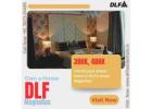 Daily Life at DLF Magnolias Uncovered