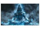Kalsarp Dosh Nivaran in Trimbakeshwar by Expert Pandit