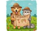 Pet Owners Look Like Their Pets - Pets N More