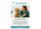 Dog Sitter in Delhi