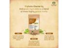 TRIPHALA:  AN AYURVEDIC FORMULA OF THREE FRUITS AMALAKI, HARITAKI, BIBHITAKI