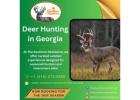 The Ultimate Guide to Deer Hunting in Georgia, USA at The Southern Residence