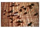 +27833895606 Trusted Traditional Healer in polokwane|Secunda|Pitermarizburg|Soweto|
