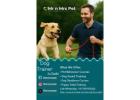 Dog Trainer in Delhi