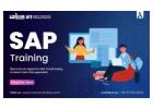 Join SAP Online Tutorial Program At Croma Campus