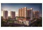 Explore the luxuries 3 & 4 BHK flats at Avana Tollygunge.