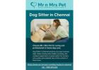 Dog Sitter in Chennai