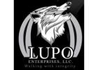 Lupo Enterprises LLC