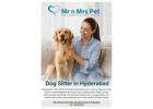 Dog Sitter in Hyderabad