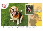 Stress-Free Dog Boarding in Faridabad – HappyPettings