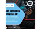 SAP Consulting in 