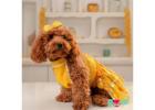 This Raksha Bandhan, Dress Your Dog in Dog Kurta & Dog Lehenga