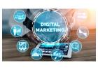 Promote Your Business with Our Result-Driven Digital Marketing Services