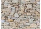 Want to make your Outdoor Space Stand Out?