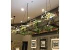 Expert Electrical Services for Homes Farms and Businesses