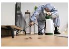 Best Pest Control Services in Mira Road Starts From 699 INR