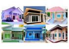 House Painters Auckland