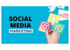Step-by-Step Social Media Training Through Internship