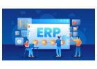 Hire Expert ERP Software Developers in India