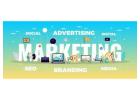 Drive Traffic with India’s Leading SEO & Digital Marketing Experts