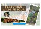 Rajasthan Wildlife Tour