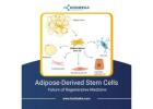 Adipose-Derived Stem Cells: Future of Regenerative Medicine