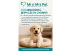 Dog Boarding Services in Chennai