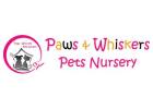 Best Pet Boarding & Grooming in Dubai | PW Pets