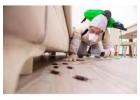 Book Cockroach Pest Control Services in Mumbai Near You
