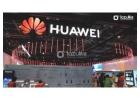 Lazulite’s Kinetic Tube Displays Inspire GCC Showcases