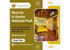 Plan your Jungle Safari with the Best Resorts in Kanha National Park