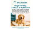 Dog Boarding Services in Hyderabad